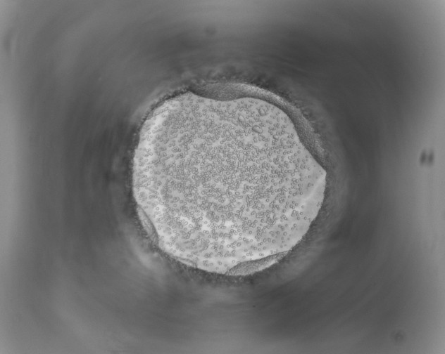 X0000111670144200908281120