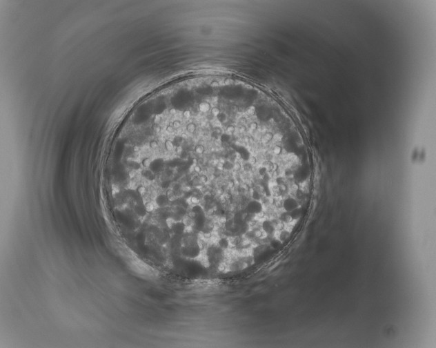 X0000111670145200908281119