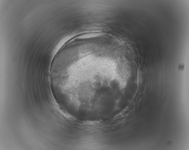 X0000111670147200908281120