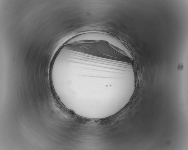 X0000111670148200908281120