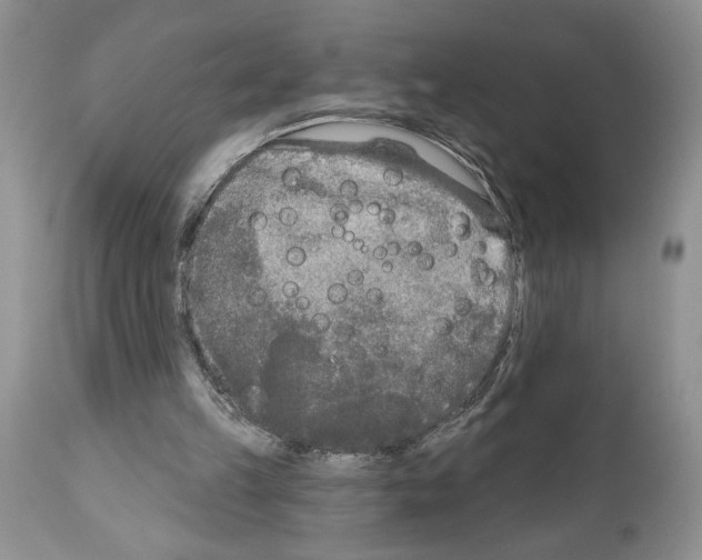 X0000111670149200908281120