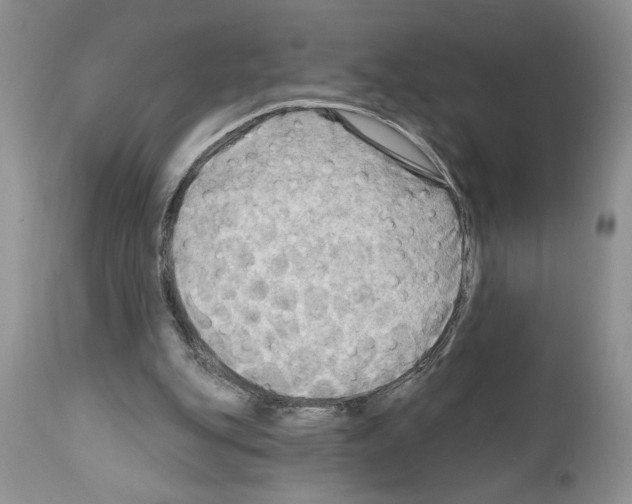 X0000111670151200908281120