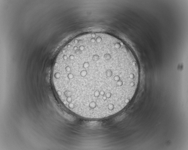 X0000111670153200908281120