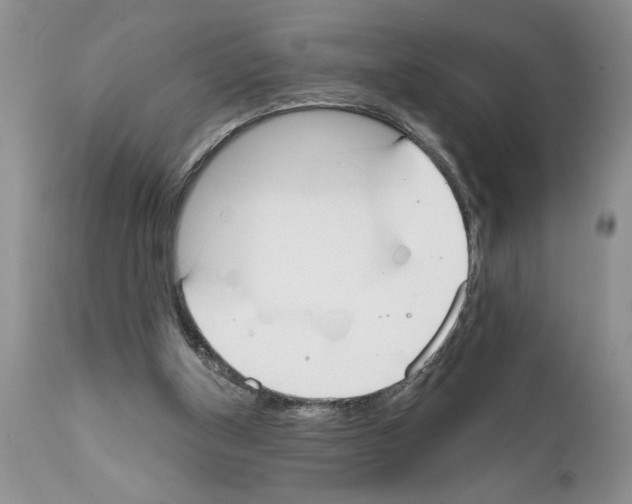 X0000111670154200908281120