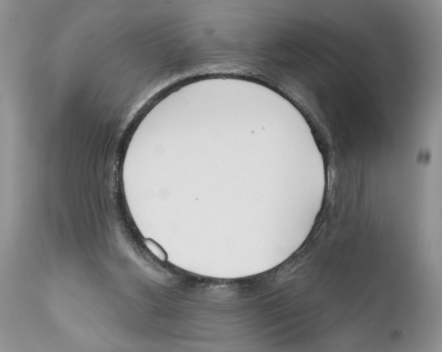 X0000111670156200908281120