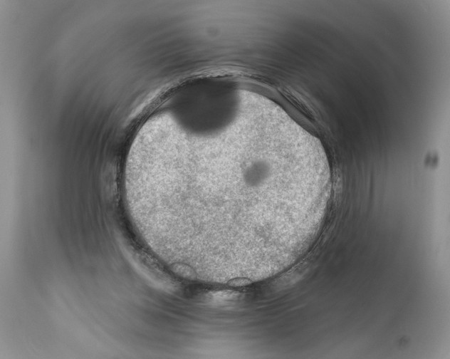 X0000111670158200908281120