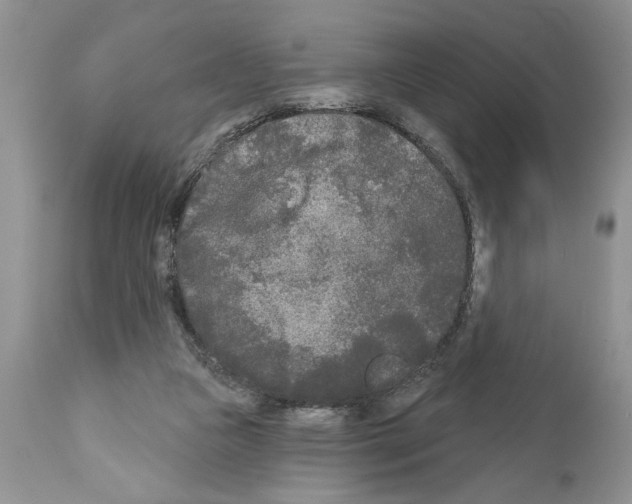 X0000111670161200908281120