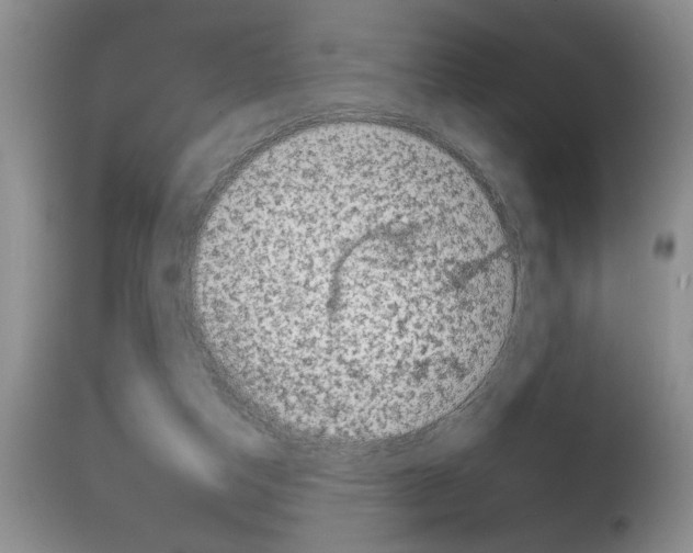 X0000111670162200908281120