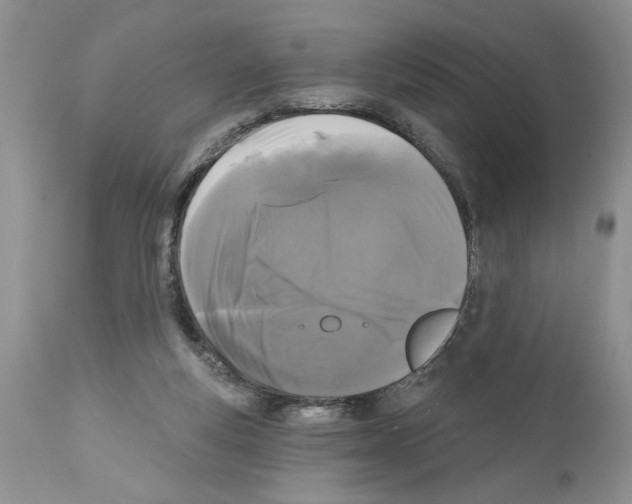 X0000111670163200908281120