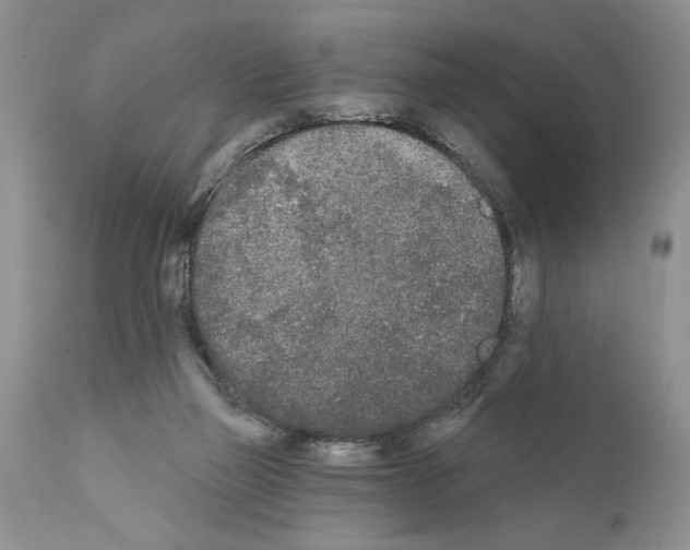 X0000111670165200908281120