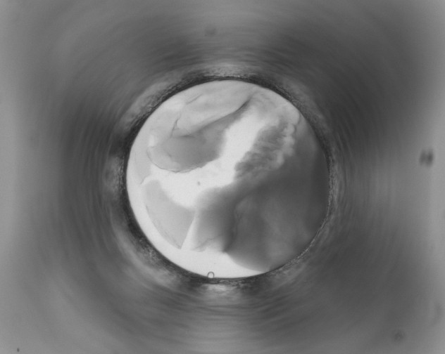 X0000111670167200908281120