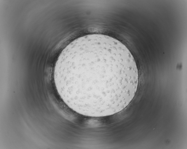 X0000111670171200908281120