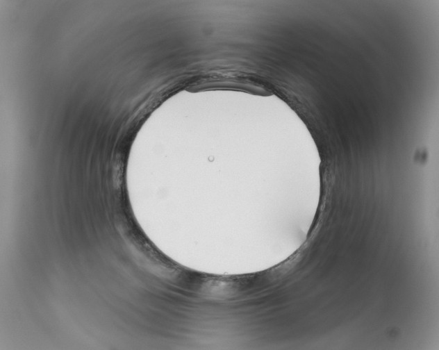 X0000111670174200908281120