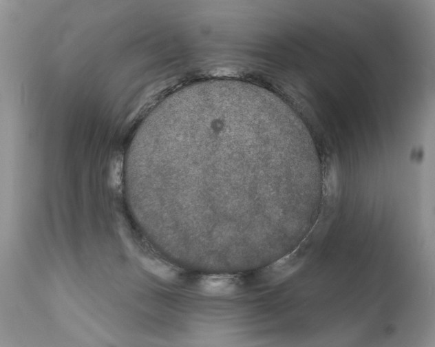 X0000111670175200908281120