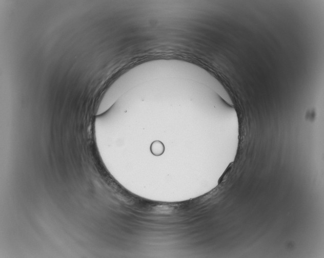 X0000111670176200908281120