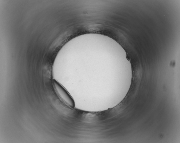 X0000111670180200908281120