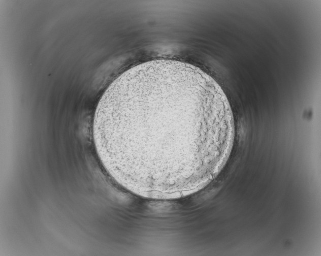 X0000111670181200908281120