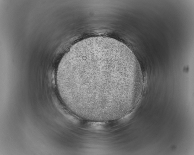 X0000111670182200908281120