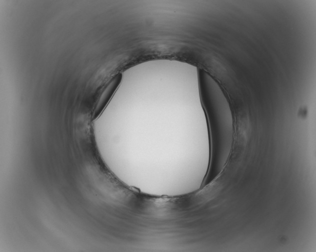 X0000111670184200908281120