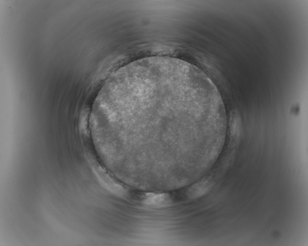 X0000111670185200908281120