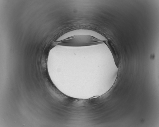 X0000111670186200908281120