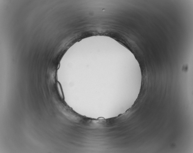 X0000111670188200908281120