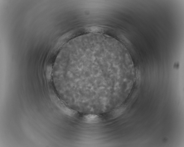 X0000111670189200908281120