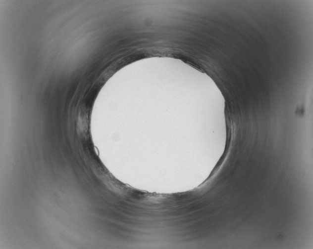 X0000111670190200908281120