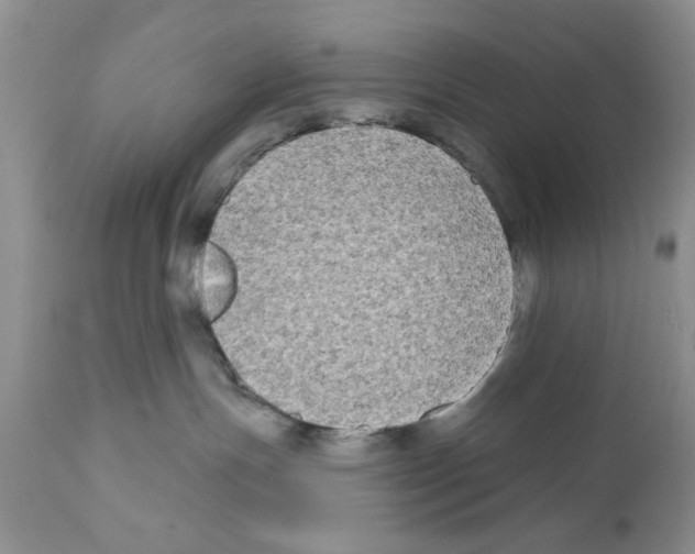 X0000111670191200908281120