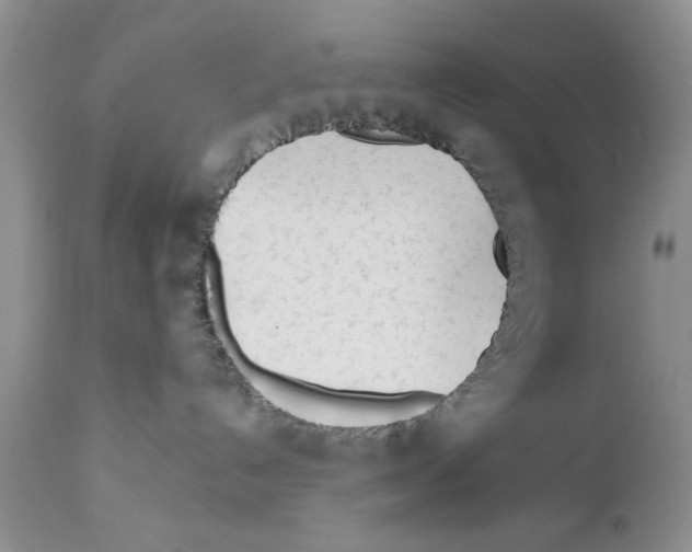 X0000111670192200908281120