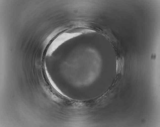 X0000111670195200908281119