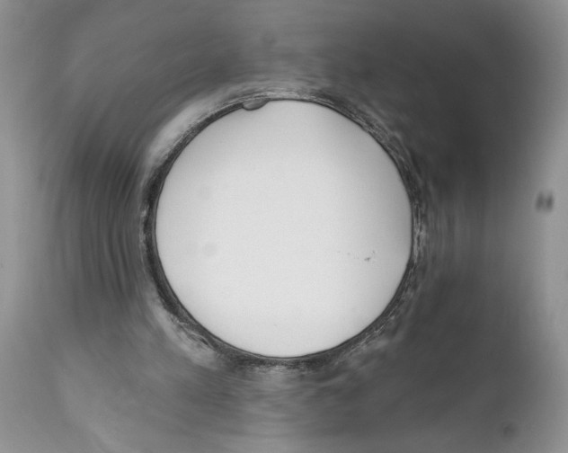 X0000111670197200908281119