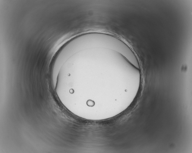 X0000111670199200908281119