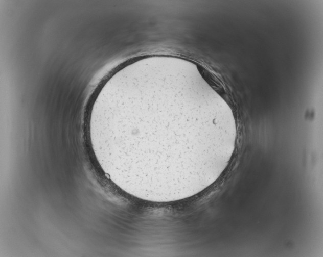 X0000111670200200908281119