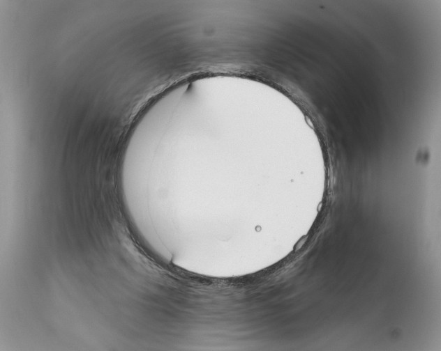 X0000111670201200908281119