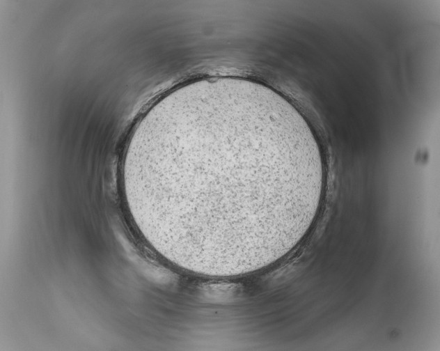 X0000111670202200908281119