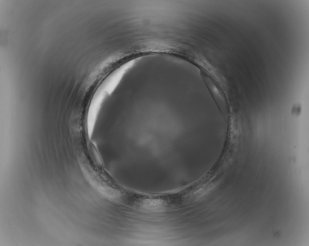 X0000111670203200908281119