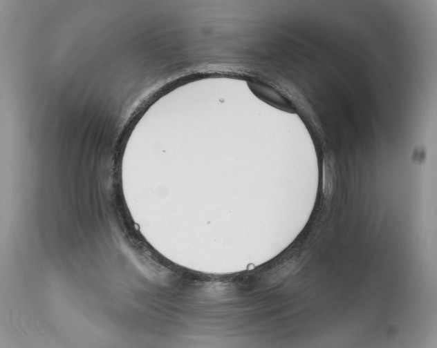 X0000111670204200908281119