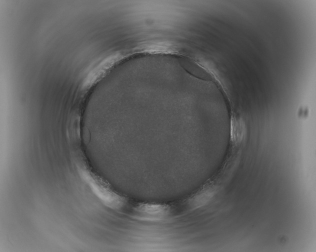 X0000111670205200908281119