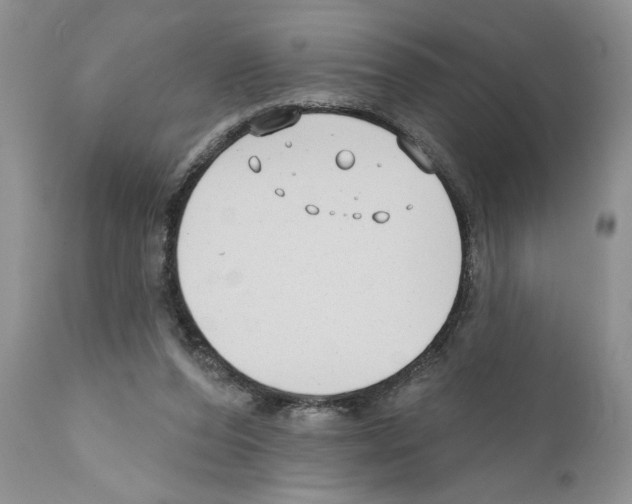 X0000111670208200908281119