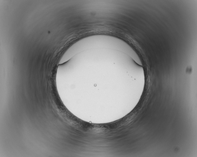 X0000111670209200908281119