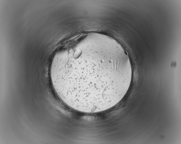 X0000111670211200908281119