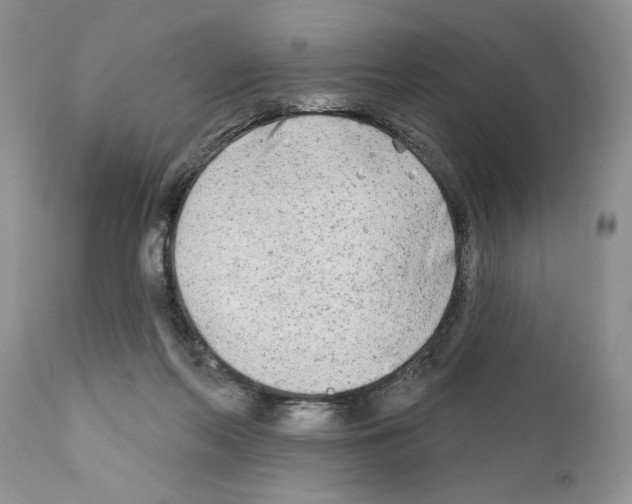 X0000111670214200908281119