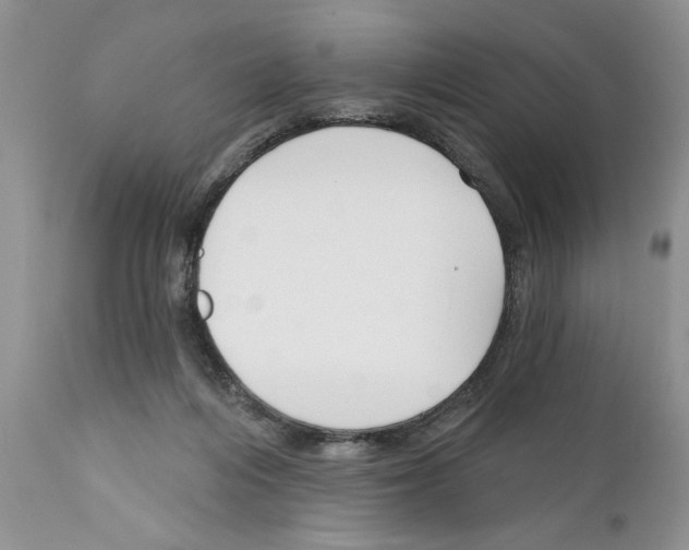 X0000111670216200908281119