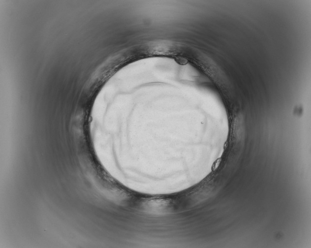 X0000111670217200908281119