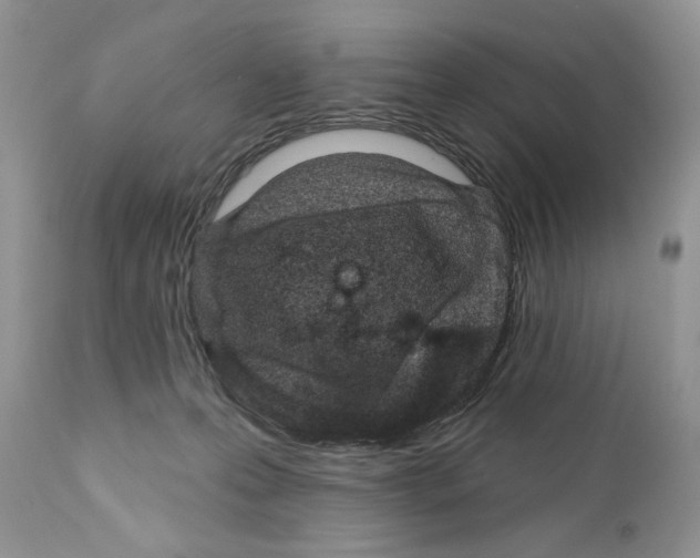 X0000111670223200908281119