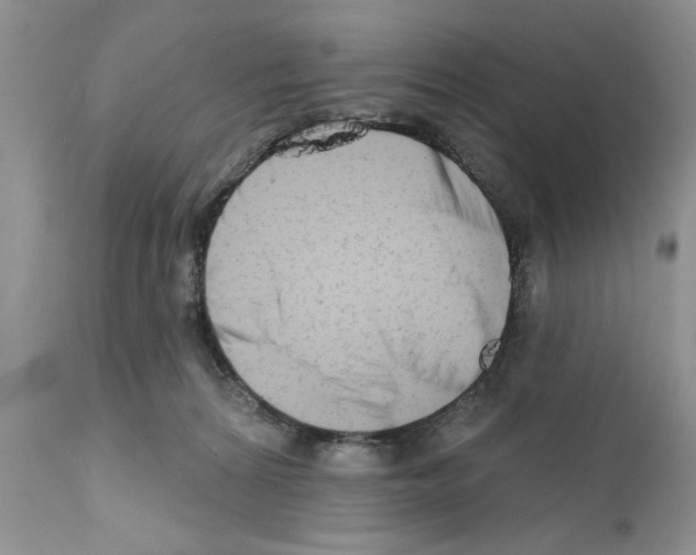 X0000111670224200908281119