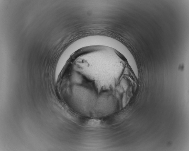 X0000111670227200908281119