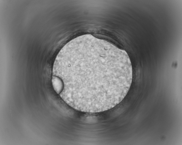 X0000111670228200908281119