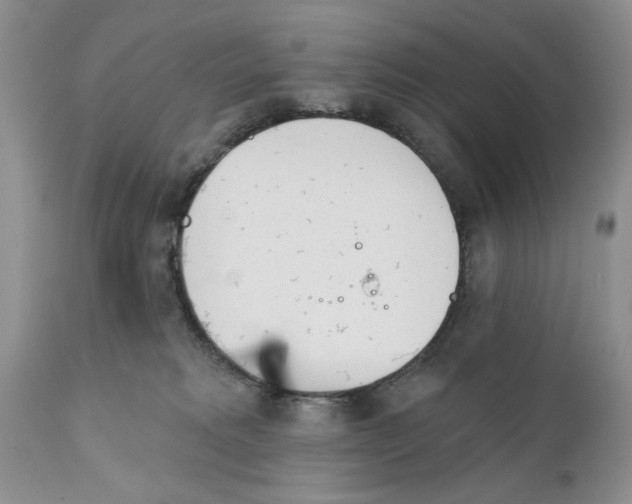 X0000111670229200908281119